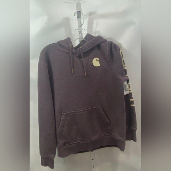 Carhartt Clarksburg Graphic Sleeve Logo Hoodie Size M MSRP $59.99 - Picture 2 of 6
